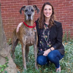 Creative Family Counseling - Creative Family Counseling, LLC