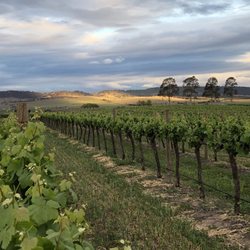 Two Rivers Wines