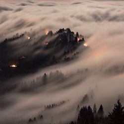Getty Photography - One foggy evening with Mr Bruce Getty