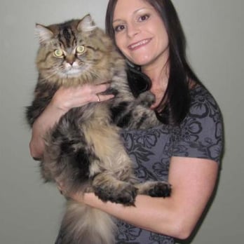 Kelowna Veterinary Hospital - Veterinarians Near Me - Kelowna, British Columbia Kelowna Veterinary Hospital - Veterinarians Near Me - Kelowna, British Columbia