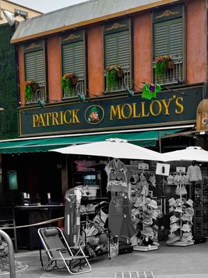 Patrick Molloys by null
