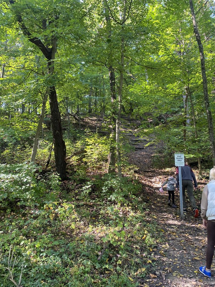 Social spots from Swallow Cliff Woods