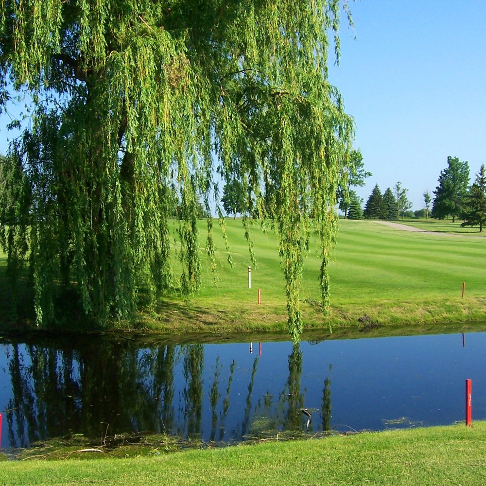 Orono Golf Course at Tommy Bautista blog