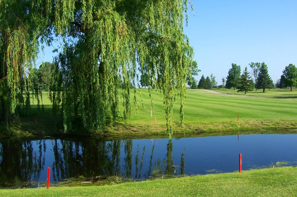 Shamrock Golf Course Logo