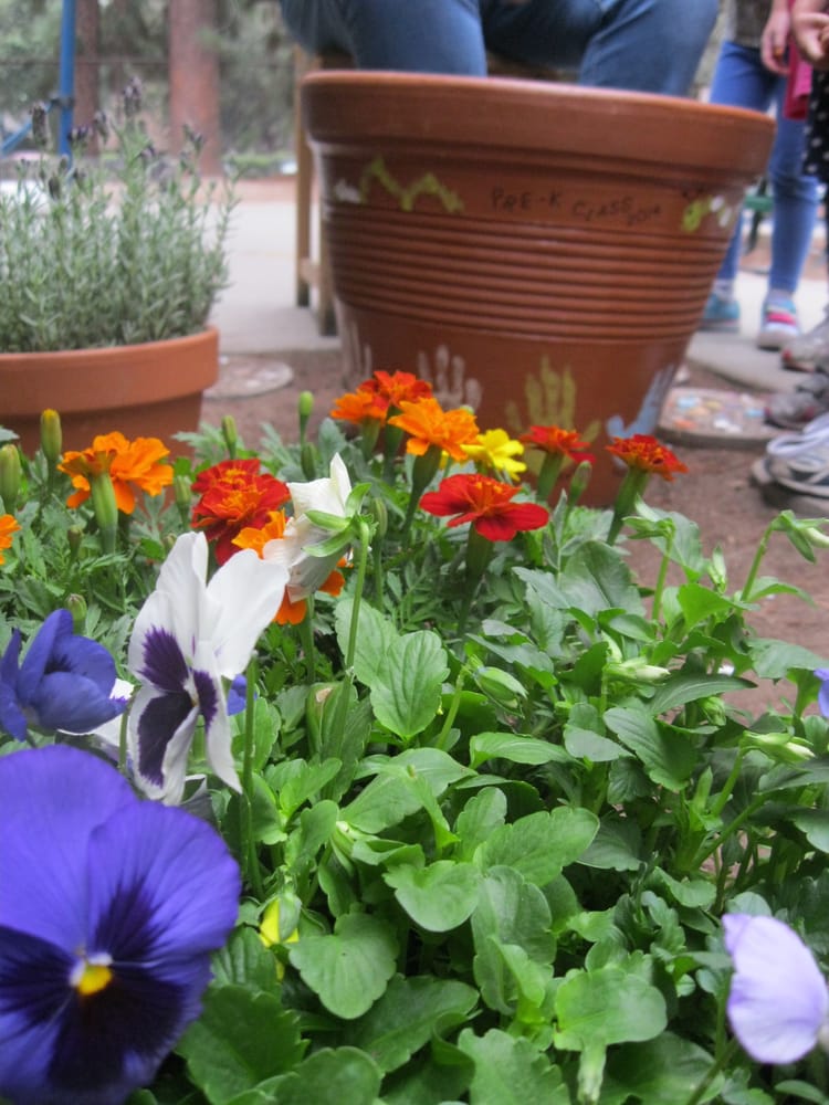 Fair Oaks Preschool - childcare center in Pasadena, CA