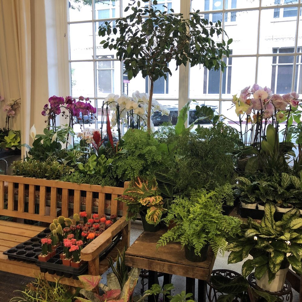 Brad Larsen Florals - Florists Near Me - Pasadena, California Brad Larsen Florals - Florists Near Me - Pasadena, California
