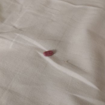 Circus Circus - The random pill that was on the bed plain as day - Hotels Near Me - Las Vegas, Nevada