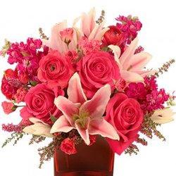 I Want Flowers
