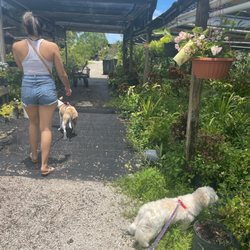 Aspen Nursery