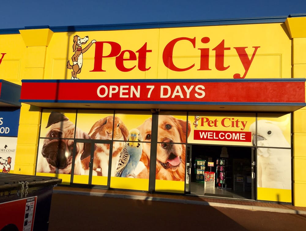 PET CITY 2/62 Collingwood St, Osborne Park Western Australia