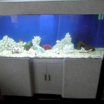 Happy Tanks - One of our Fish Tanks done by our Fish Tank / Aquarium, Cleaning and Maintenance company. - Aquarium Services Near Me Happy Tanks - One of our Fish Tanks done by our Fish Tank / Aquarium, Cleaning and Maintenance company. - Aquarium Services Near Me