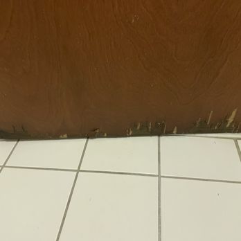 Comfort Inn - No ventilation in the bathrooms, it's moldy and the door has water damage - Hotels Near Me - White River Junction, Vermont