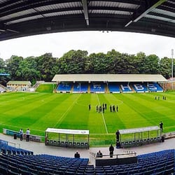 Shay Stadium