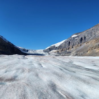 Columbia Icefield - Tours Near Me - Banff, Alberta