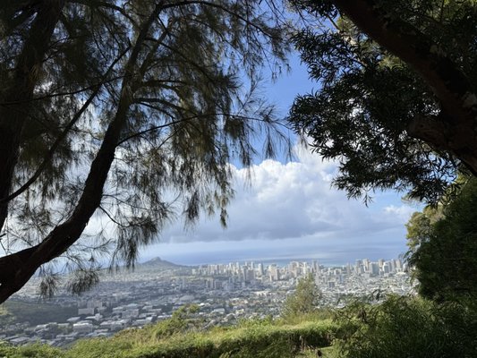 Puʻu ʻUalakaʻa State Wayside by null
