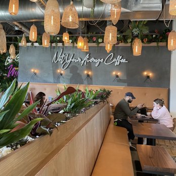 Wild - Coffee & Tea Near Me - Houston, Texas