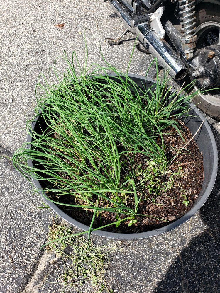 Social spots from Emma's 321 Pub