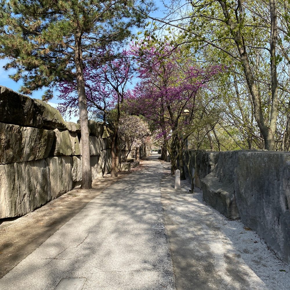 Trail Trail