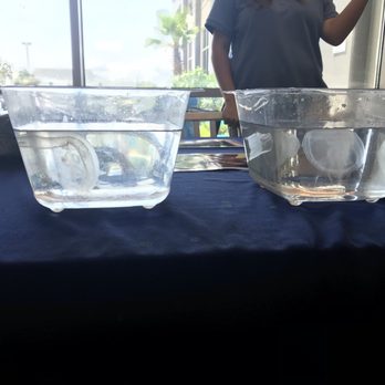 Courtyard by Marriott Carolina Beach Oceanfront - North Carolina Fort Fisher aquarium set up a jellyfish information table in the hotel lobby and hotel staff gave us free sherbert - Hotels Near Me - Carolina Beach, North Carolina