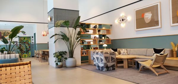 Arlo Wynwood by null