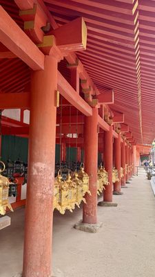 Kasugataisha Shrine by null