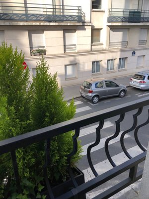 Hotel Rose Bourbon by null