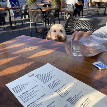 Dumpling Time - Dog friendly - Dim Sum Near Me - San Francisco, California Dumpling Time - Dog friendly - Dim Sum Near Me - San Francisco, California