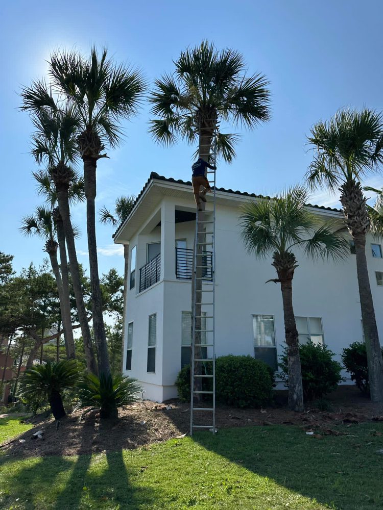 Slide of Cr-b Handyman