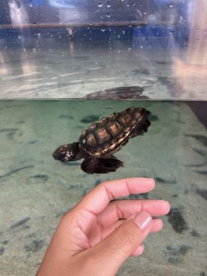 AQWA The Aquarium Of Western Australia by null