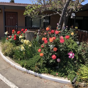 Adelaide Inn - Outside area, very quaint. - Hotels Near Me - Paso Robles, California