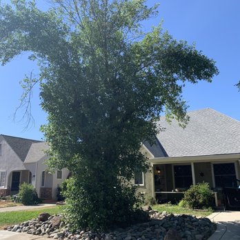 R&B Quality Tree Care - Tree Services Near Me - Roseville, California