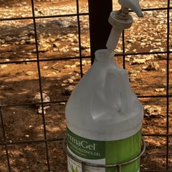 Austin Zoo - Keep your hands clean, just not in the petting zoo