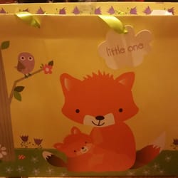 Dollar Tree - Super cute gift bag for a baby shower.