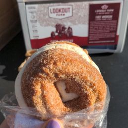 Apple Cider ice cream donut
