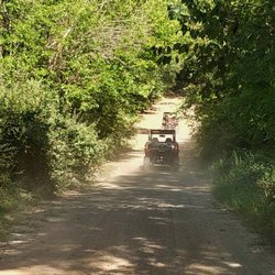 Beachtown Buggies
