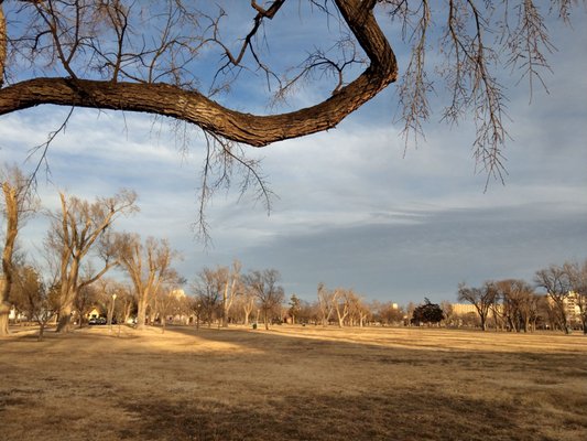 Ellwood Park by null