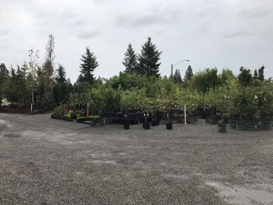 Gibson S Nursery Landscape Supply