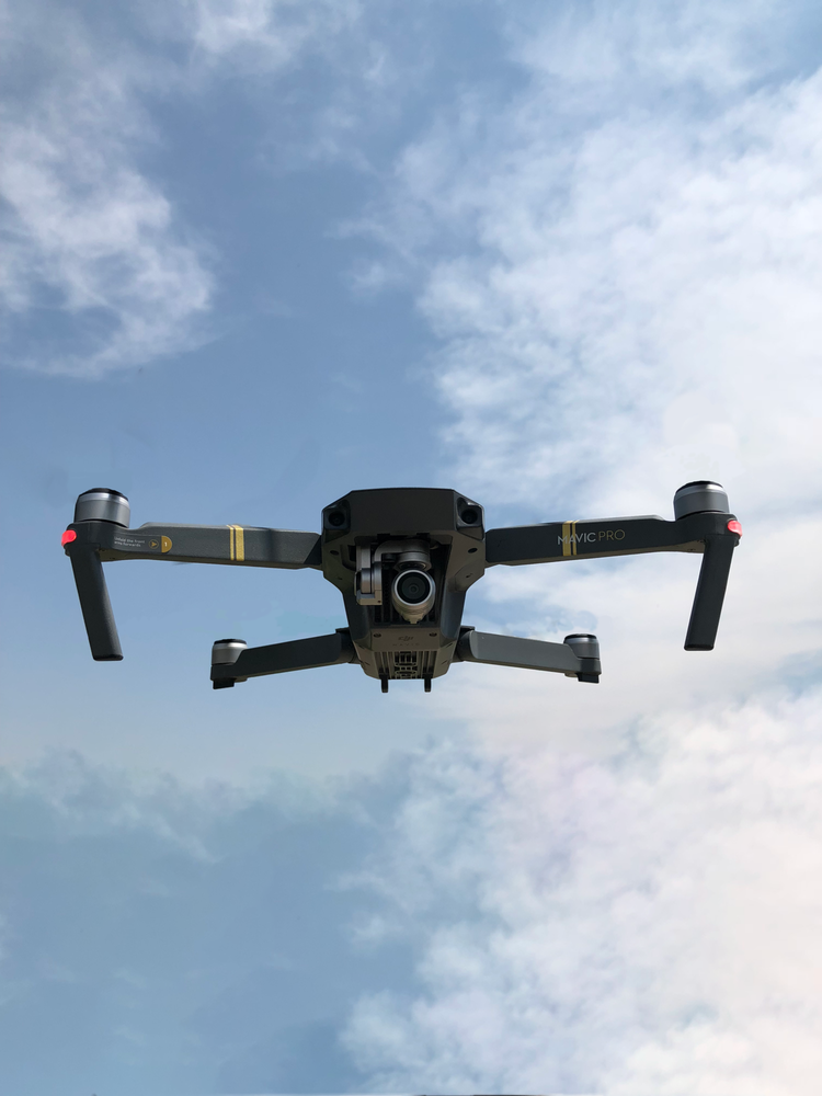 MAJESTIC DRONES 1203 East Main St, Tremonton, Utah Real Estate