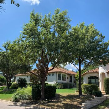 Good Guys Tree Service - My oak trees look so beautiful! - Tree Services Near Me - Austin, Texas Good Guys Tree Service - My oak trees look so beautiful! - Tree Services Near Me - Austin, Texas