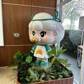 Molly Tea - Bubble Tea Near Me - Cupertino, California