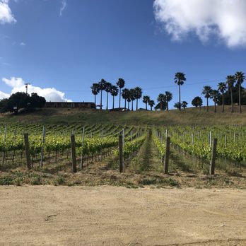 Skyview Motel - Vineyard below the rooms - Hotels Near Me - Los Alamos, California