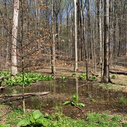 College Gardens Park