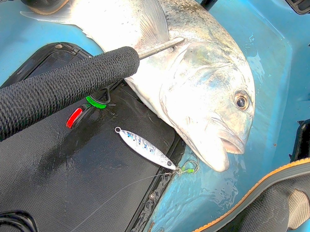 The Fishing Buddy Maui Logo