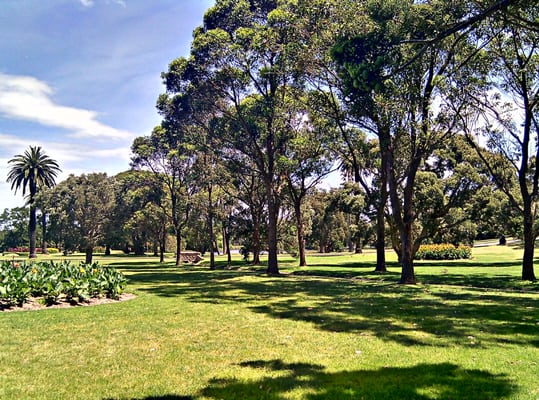 Centennial Park by null
