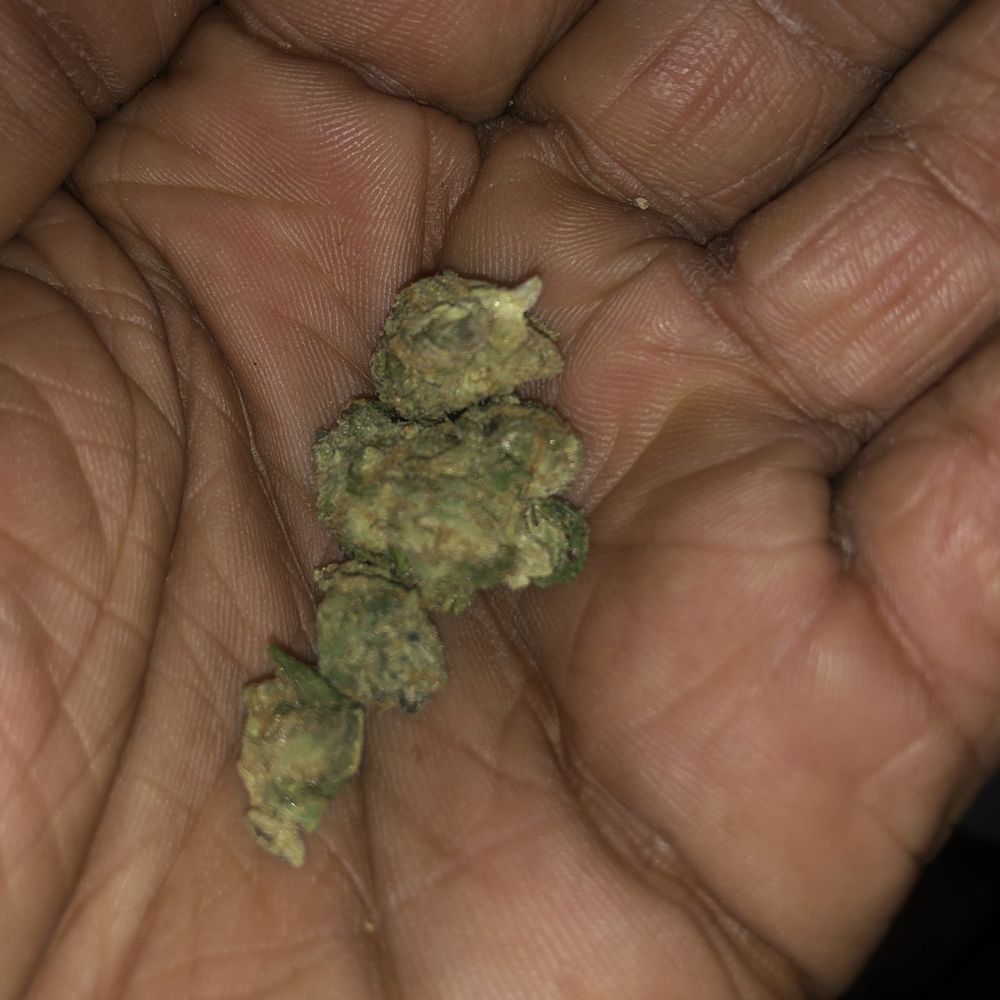 Mission Dispensary South Chicago - Example of dried out buds. Not sticky don't snap when breaking apart like it should. Classic bullshit as usual from mission. - Cannabis Clinics Near Me - Chicago, Illinois Mission Dispensary South Chicago - Example of dried out buds. Not sticky don't snap when breaking apart like it should. Classic bullshit as usual from mission. - Cannabis Clinics Near Me - Chicago, Illinois