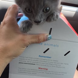 Samuel thinks the box is not particularly accommodating.
