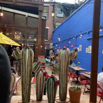The Cactus Shop - Cocktail Bars Near Me - Brooklyn, New York The Cactus Shop - Cocktail Bars Near Me - Brooklyn, New York