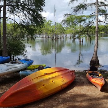 George L Smith State Park - Parks Near Me - Twin City, Georgia