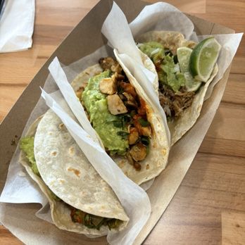 Taco Cinco - Cactus, Pollo Asado, Carnitas tacos all on flour - Mexican Near Me - Phoenix, Arizona