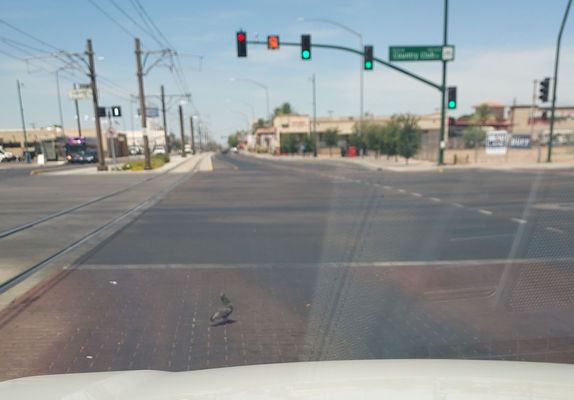 Pioneer Park by null